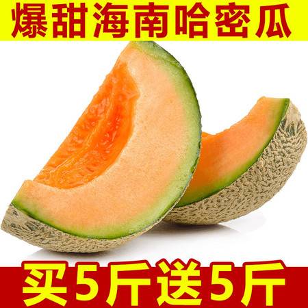 海南哈密瓜 現摘直發，甜蜜直達