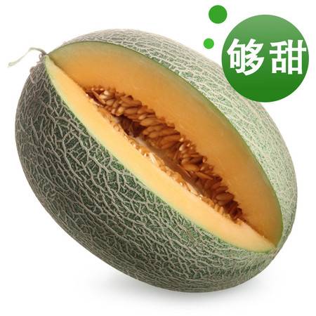 西域饋贈，甜蜜當季——新疆哈密瓜與西州蜜瓜批發指南