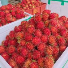 紅毛丹 熱帶佳果的批發采購與市場機遇